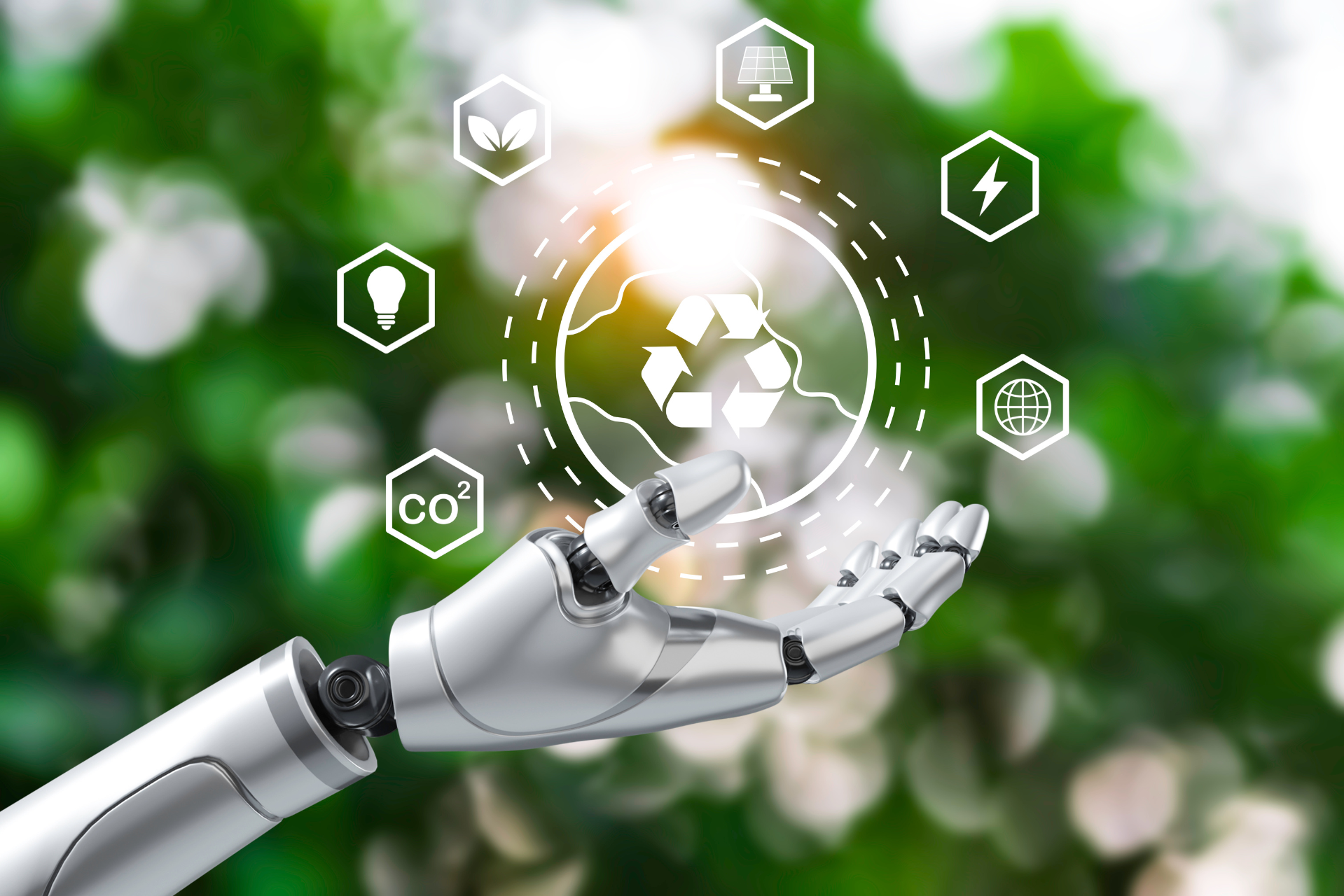 Sustainability Image